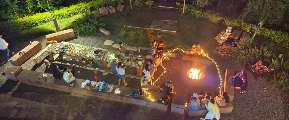 auraai.mushroom.cv 上线：四大本地 AI 研究栏目，每周更新